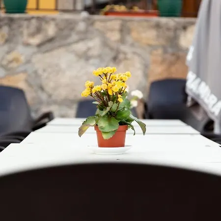 El Rencuentro De Gredos