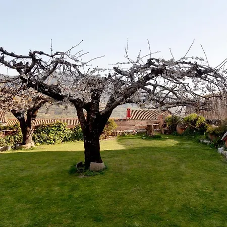 El Rencuentro De Gredos *