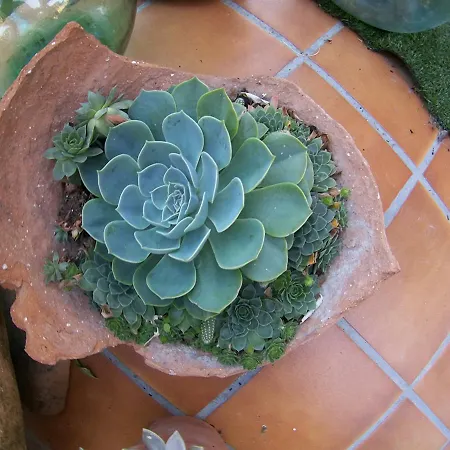 Apartamento El Rencuentro *