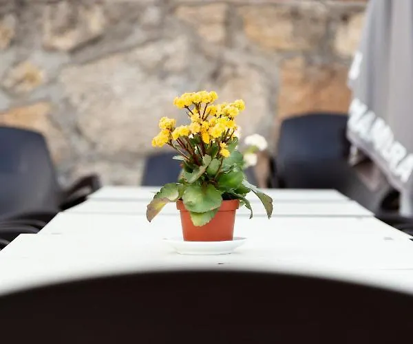 El Rencuentro De Gredos