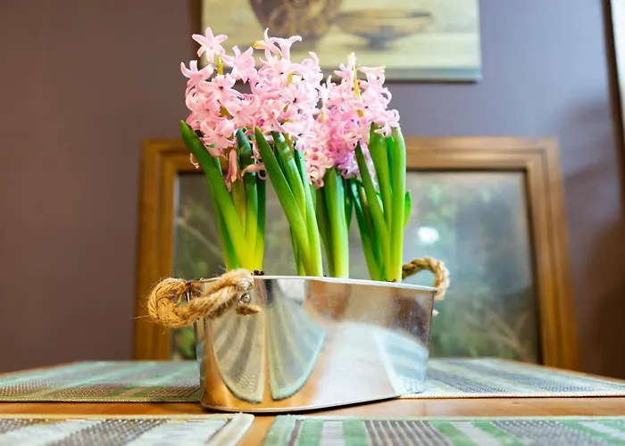 El Rencuentro De Gredos