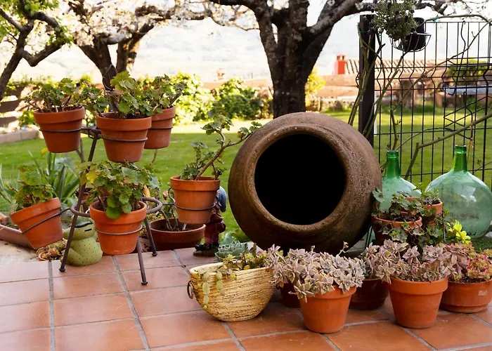 El Rencuentro De Gredos *