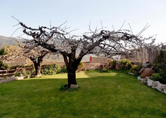 El Rencuentro De Gredos *