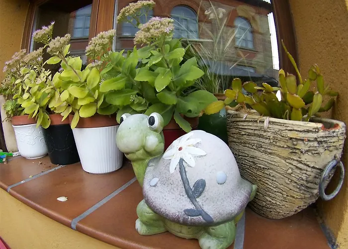 El Rencuentro De Gredos * Villarejo del Valle