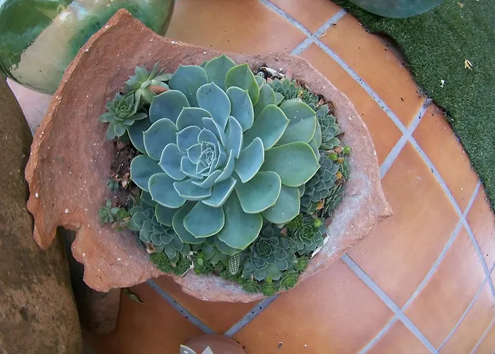 アパート El Rencuentro De Gredos *